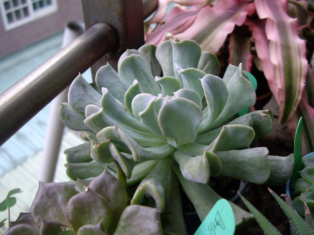 按此在新視窗瀏覽圖片