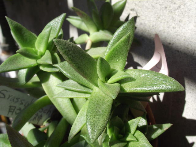 按此在新視窗瀏覽圖片