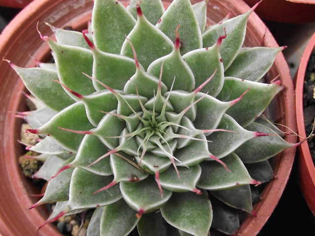 按此在新視窗瀏覽圖片