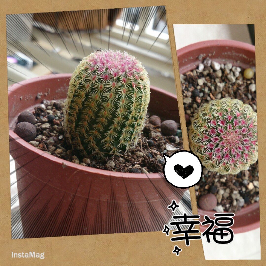 «ö¦¹¦b·sµøµ¡ÂsÄý¹Ï¤ù