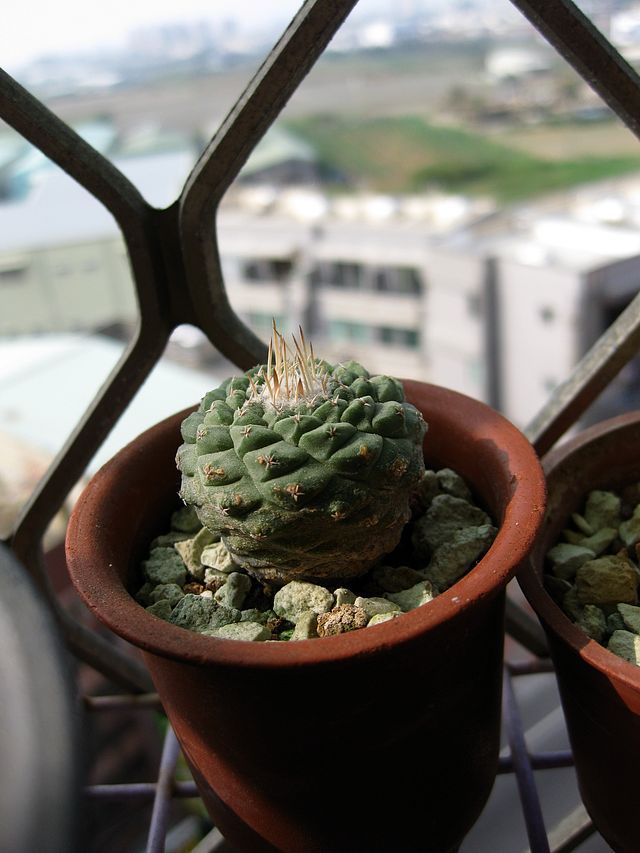 按此在新視窗瀏覽圖片