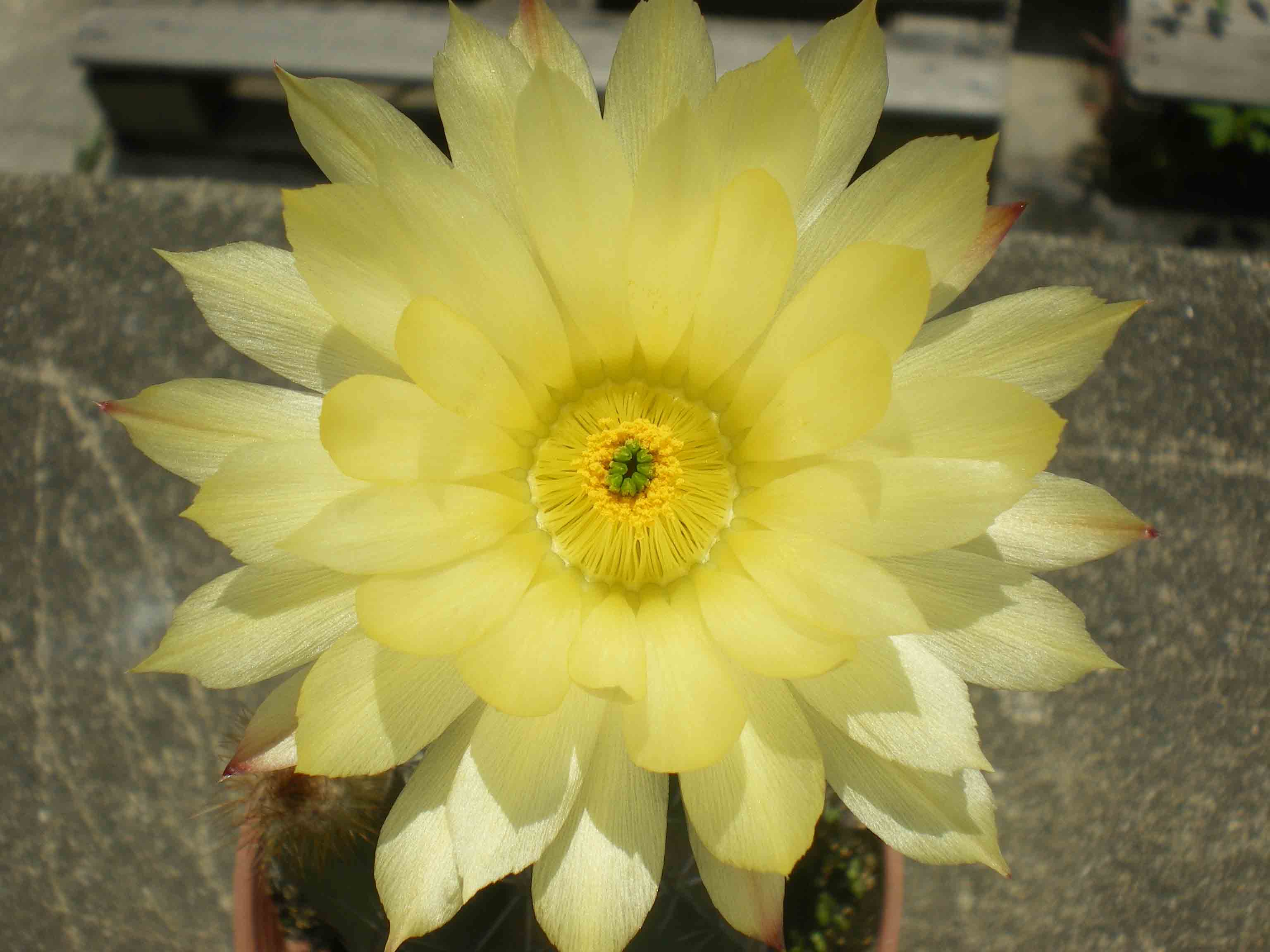 按此在新視窗瀏覽圖片