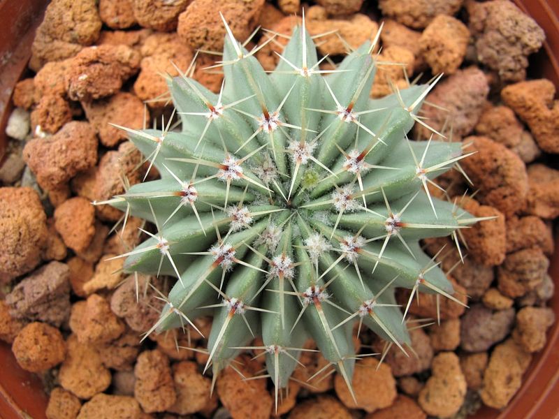 «ö¦¹¦b·sµøµ¡ÂsÄý¹Ï¤ù