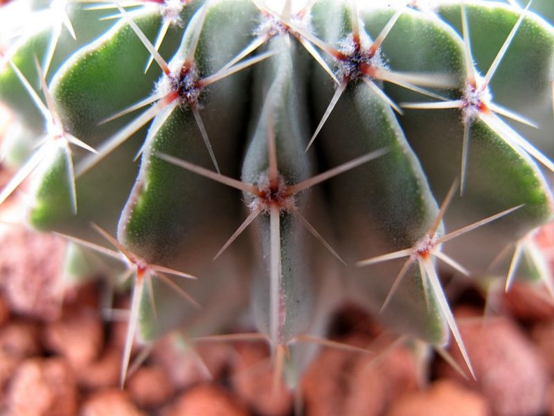 «ö¦¹¦b·sµøµ¡ÂsÄý¹Ï¤ù